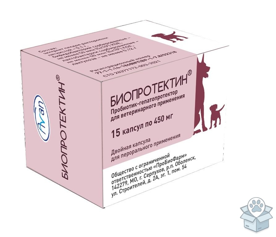 6eaa7f1bed6746a0aef25957121b1288