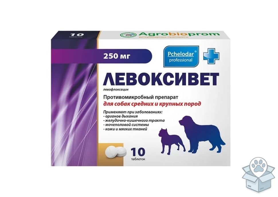 f4b83c9eab2e4cb88dd02385dd9fc9a9