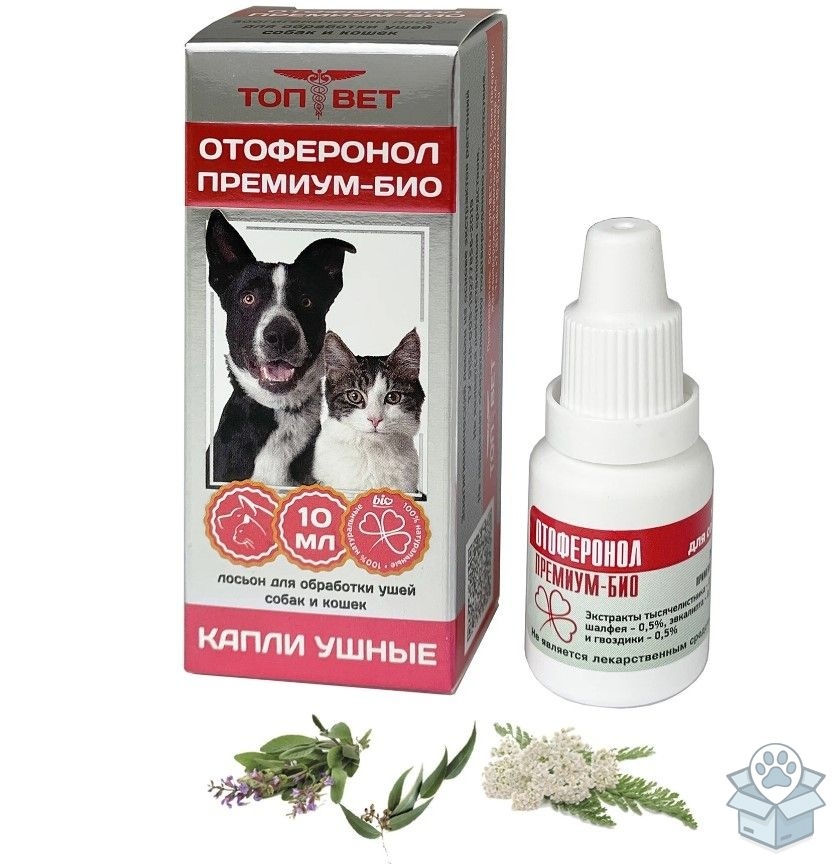 26a3de1a987845dfae912c7dc1c1f527