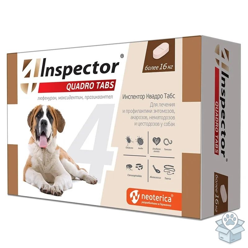 2bfb8080e29942468bcd2799a796f485