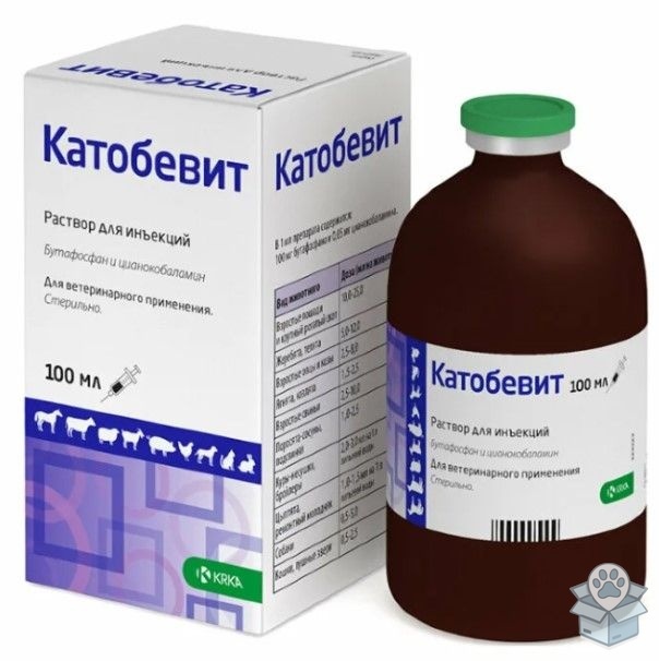 53db05866ebc41c3ab23d987a8ed3d3c