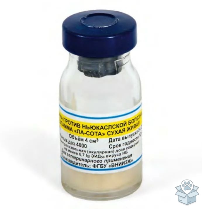 3a4e107c4ee043418df9377d164bde68