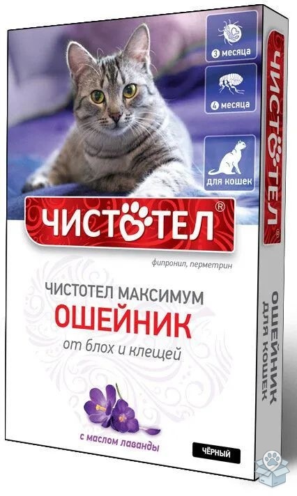 ed3bec1ac7ca4a79a187d4ee78dcc5d6