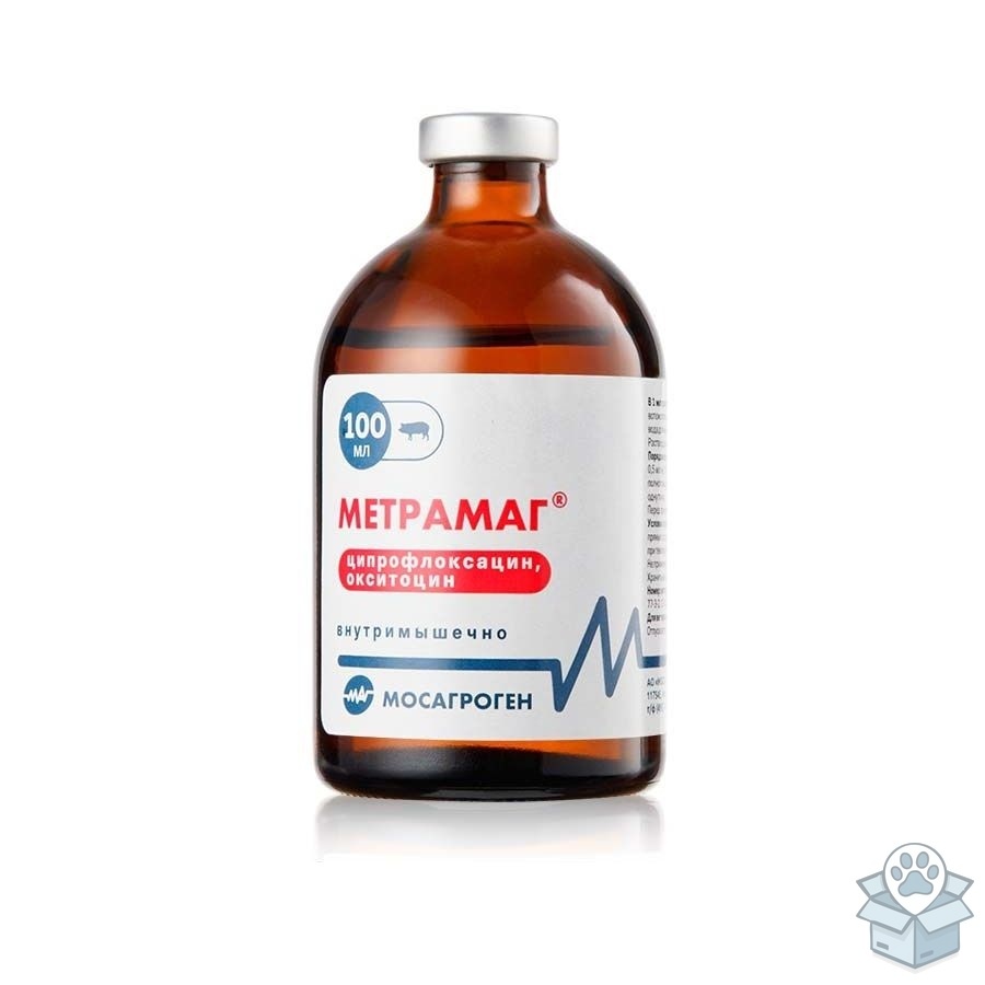 95bdd990675f4606826b31fd80cec987