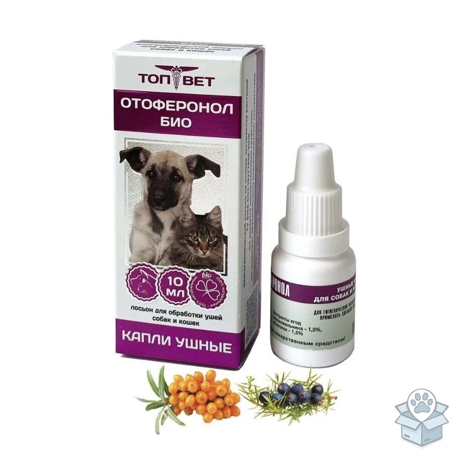 e4ddf1ce0b564c219afead9bdede13ce