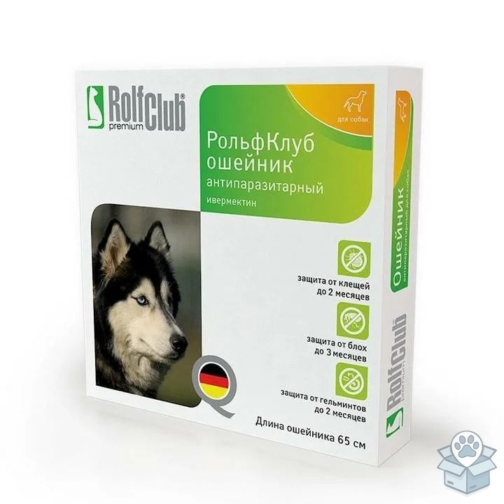 d99af50863e04d379a962db9008fd9cc