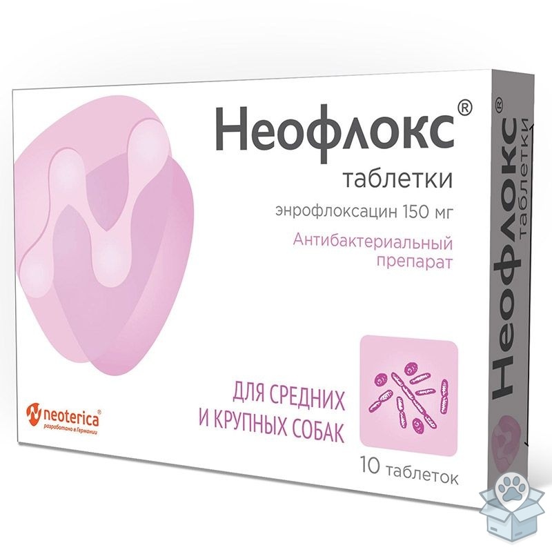 5d7900a9172c4b49ae8e4ac2567a8ae6