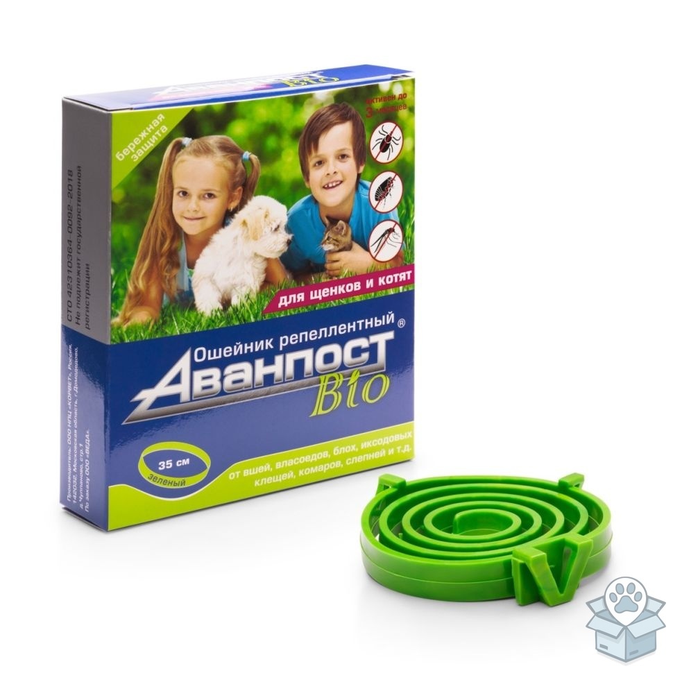 2beb1293ff7a4512ad91a8e3d4b00119