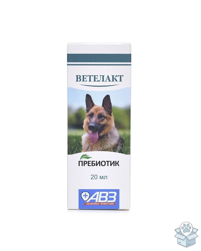 97d0de99d21d451cad269117d42f4afa