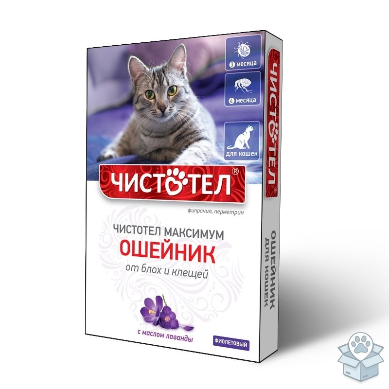 a8d3ce0a333a4c79891cdddf419db4d6