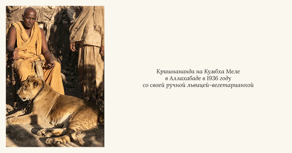 Свами Кришнананда на Кумбха Меле в Аллахабаде в 1936 году со своей ручной львицей-вегетарианкой