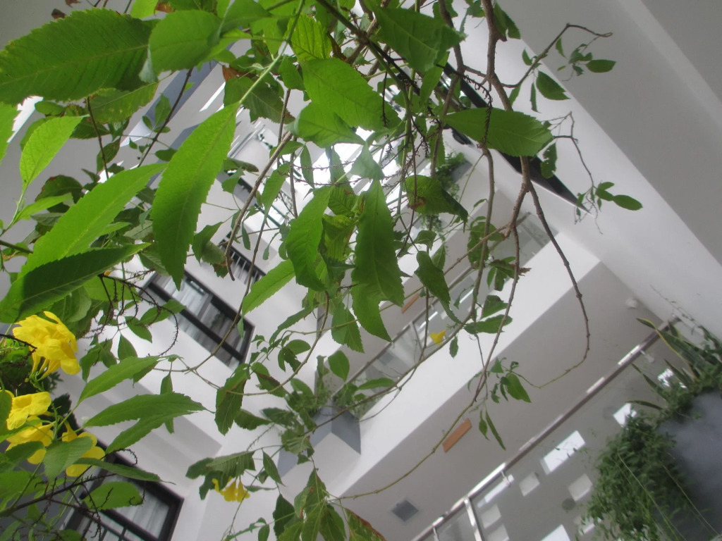 Ale Nhatrang Hotel — фото 1