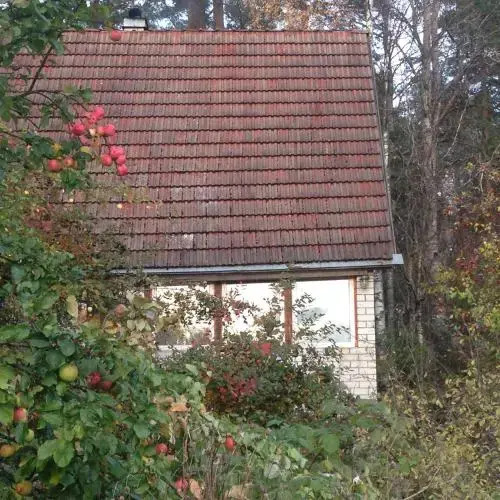 Дача на Ладожском Озере — фото 1