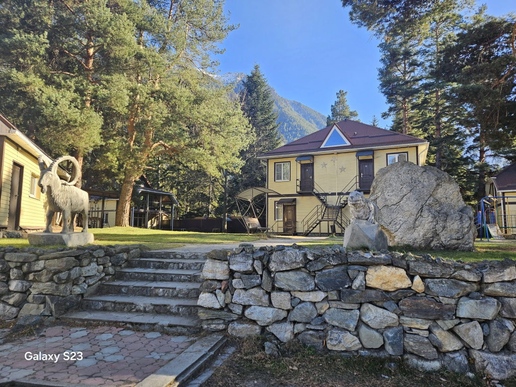 База отдыха ОЛЬХОВАЯ — фото 1