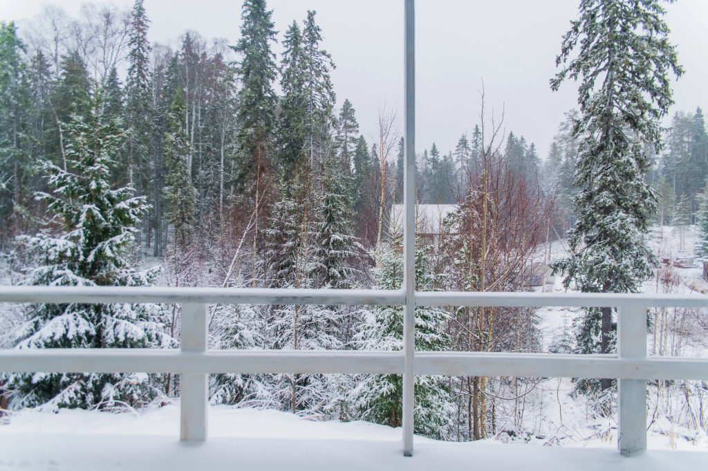 Panorama Kareliya Guest House — фото 1