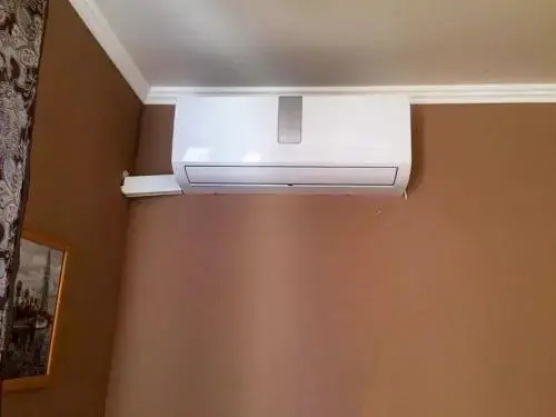 Dom Druzey — фото 1