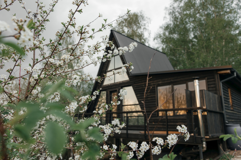 Частный дом Черный Русский A-Frame дом с видом на город и березовую рощу — фото 1