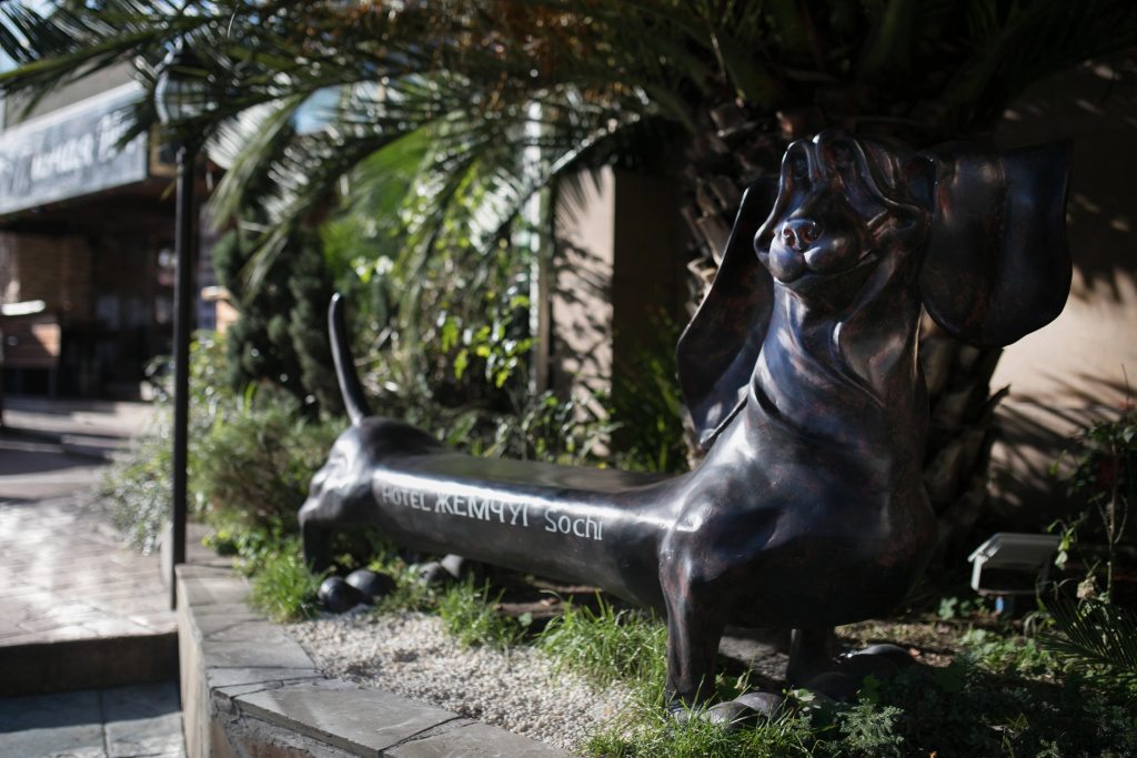 carousel image 5
